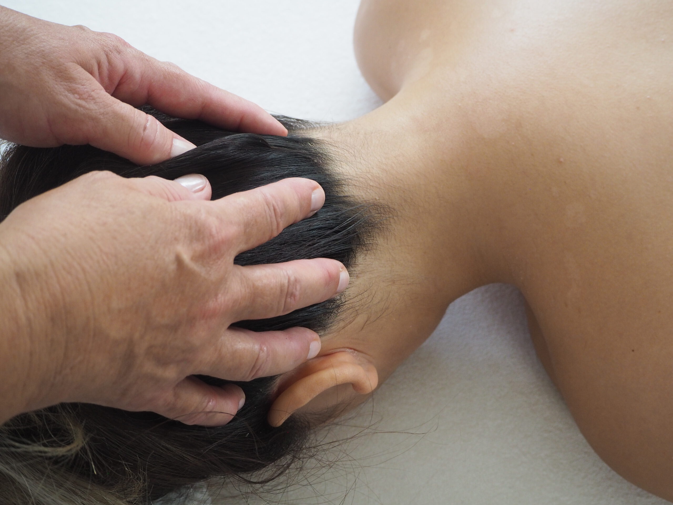 NeuP1010325Cranium scaled